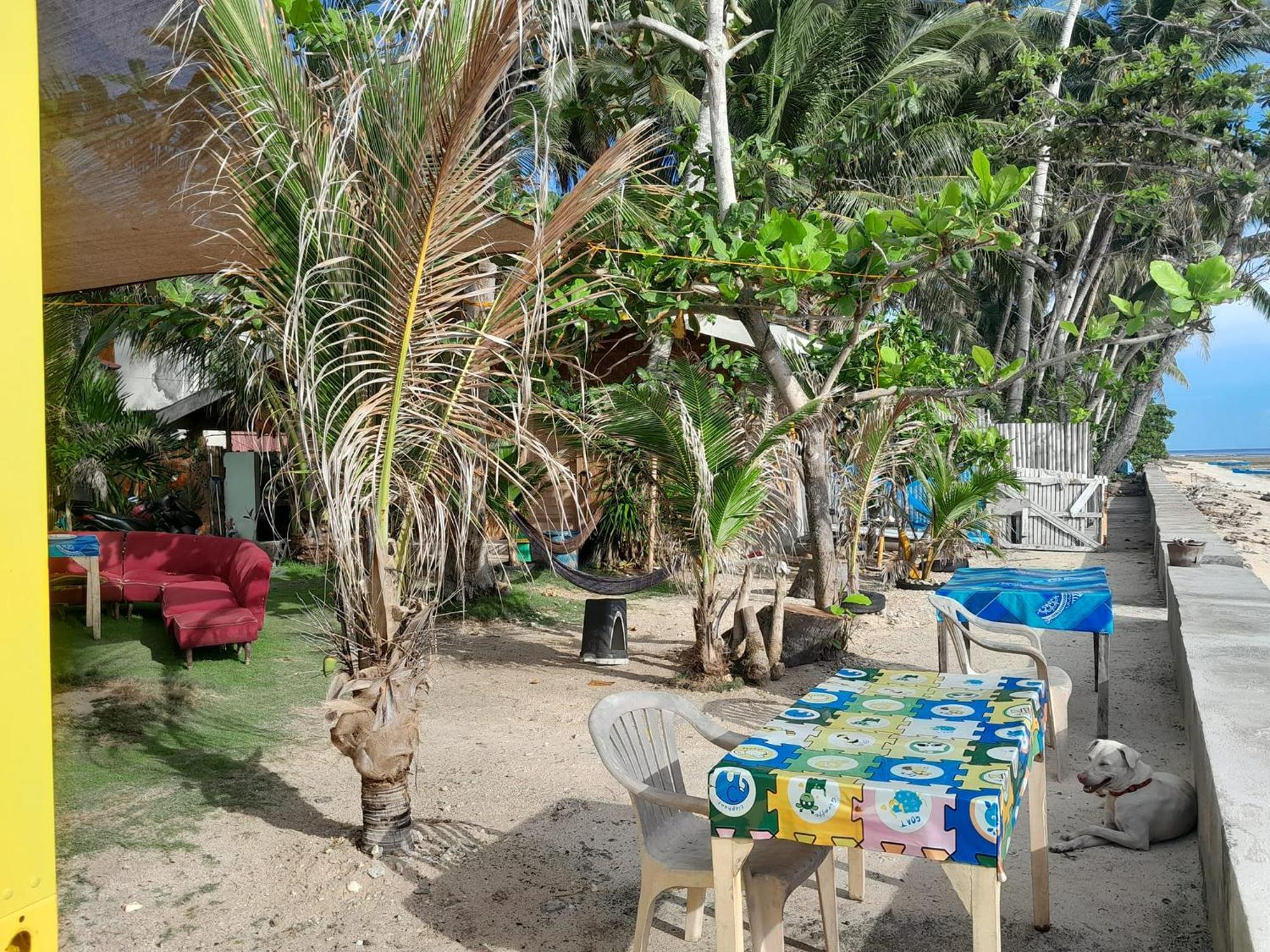Enrico'S Guesthouse سيكويجور المظهر الخارجي الصورة